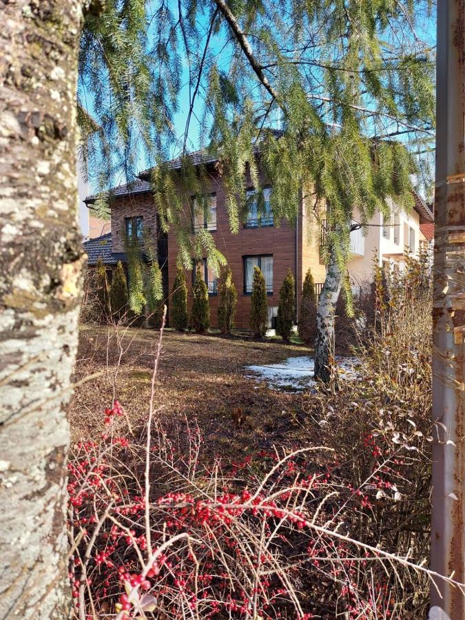 Apartman Lena Marie ズラティボール エクステリア 写真